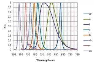 A graph of wavelengths in different colors